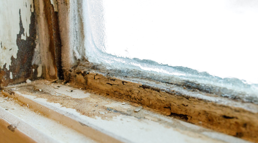 rotting window frame